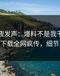 网红深夜发声：爆料不是我干的！杏吧app下载全网疯传，细节太炸裂