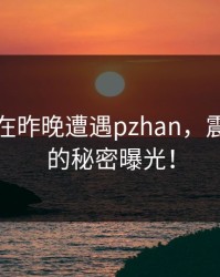 神秘人在昨晚遭遇pzhan，震撼全网的秘密曝光！