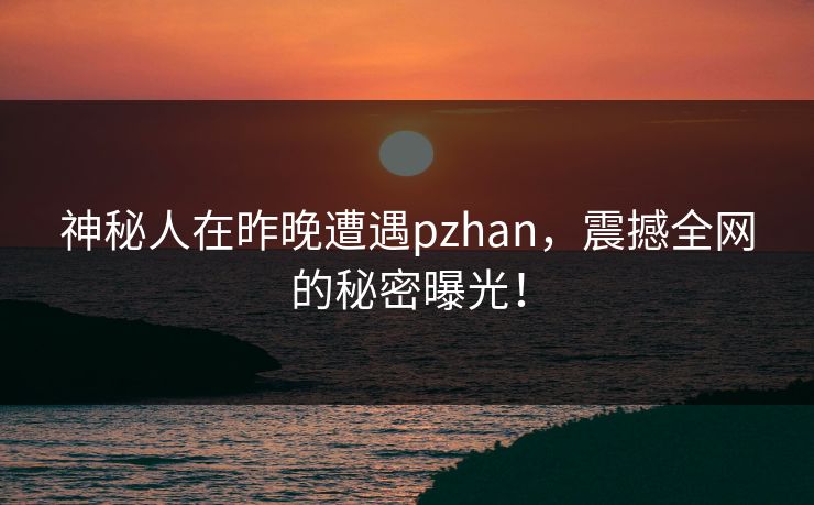 神秘人在昨晚遭遇pzhan，震撼全网的秘密曝光！
